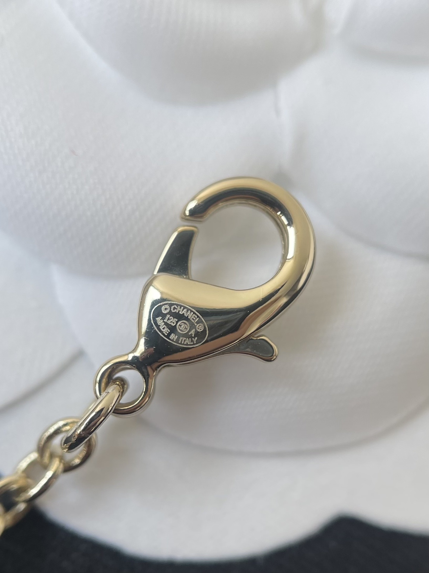 Chanel 2024/25 Long Pendant Necklace Gold Pink Resin Fruit CC Logo