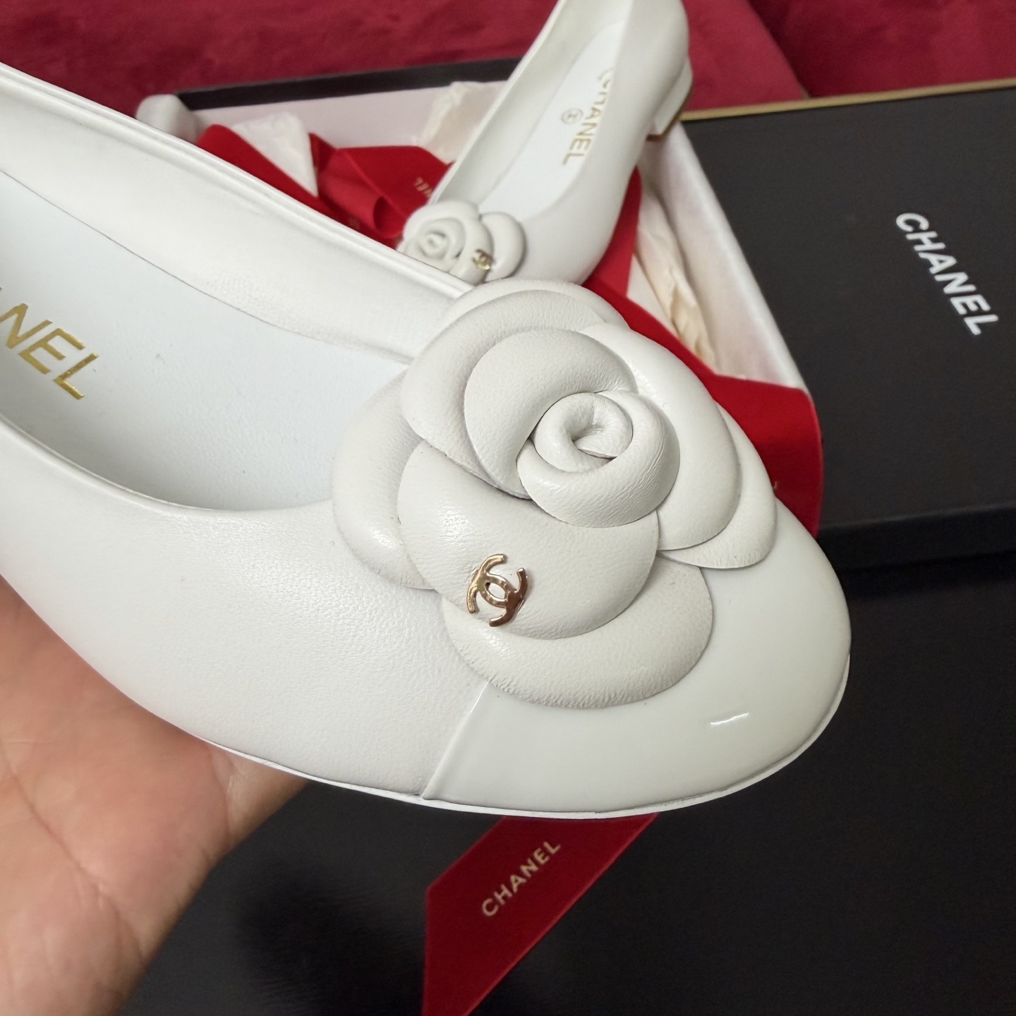 Close-up of Chanel white ballet flats featuring a leather camellia flower and gold CC logo inside a luxury gift box with red ribbon. - Hình 6