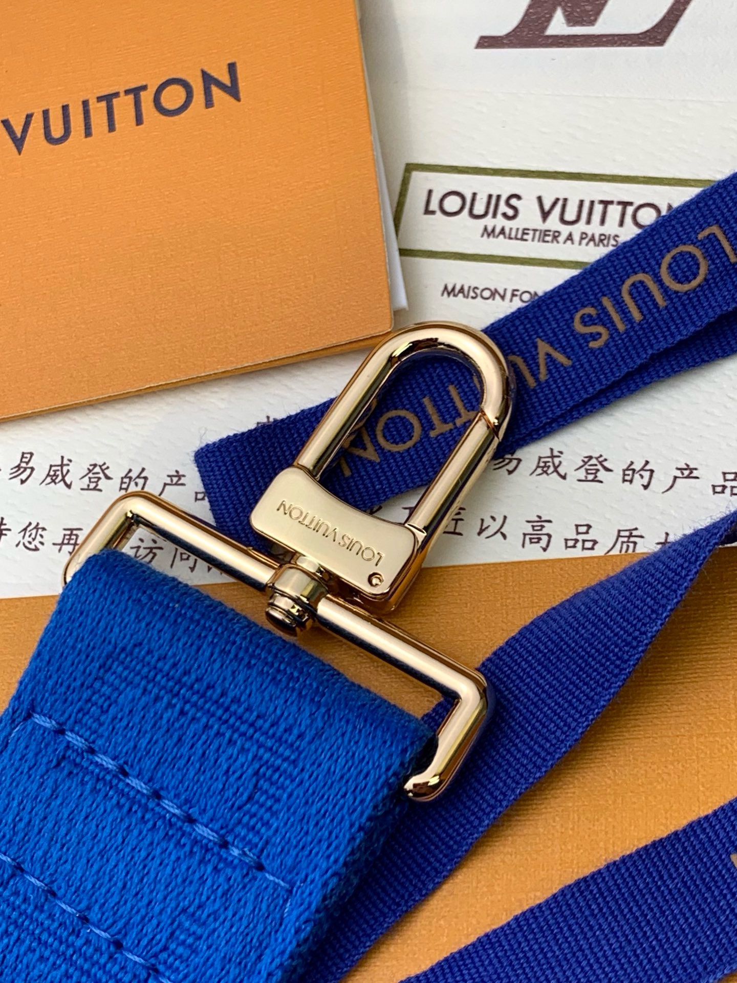 LOUIS VUITTON] Louis Vuitton Gaston Wearable Wallet Crossbody Bag