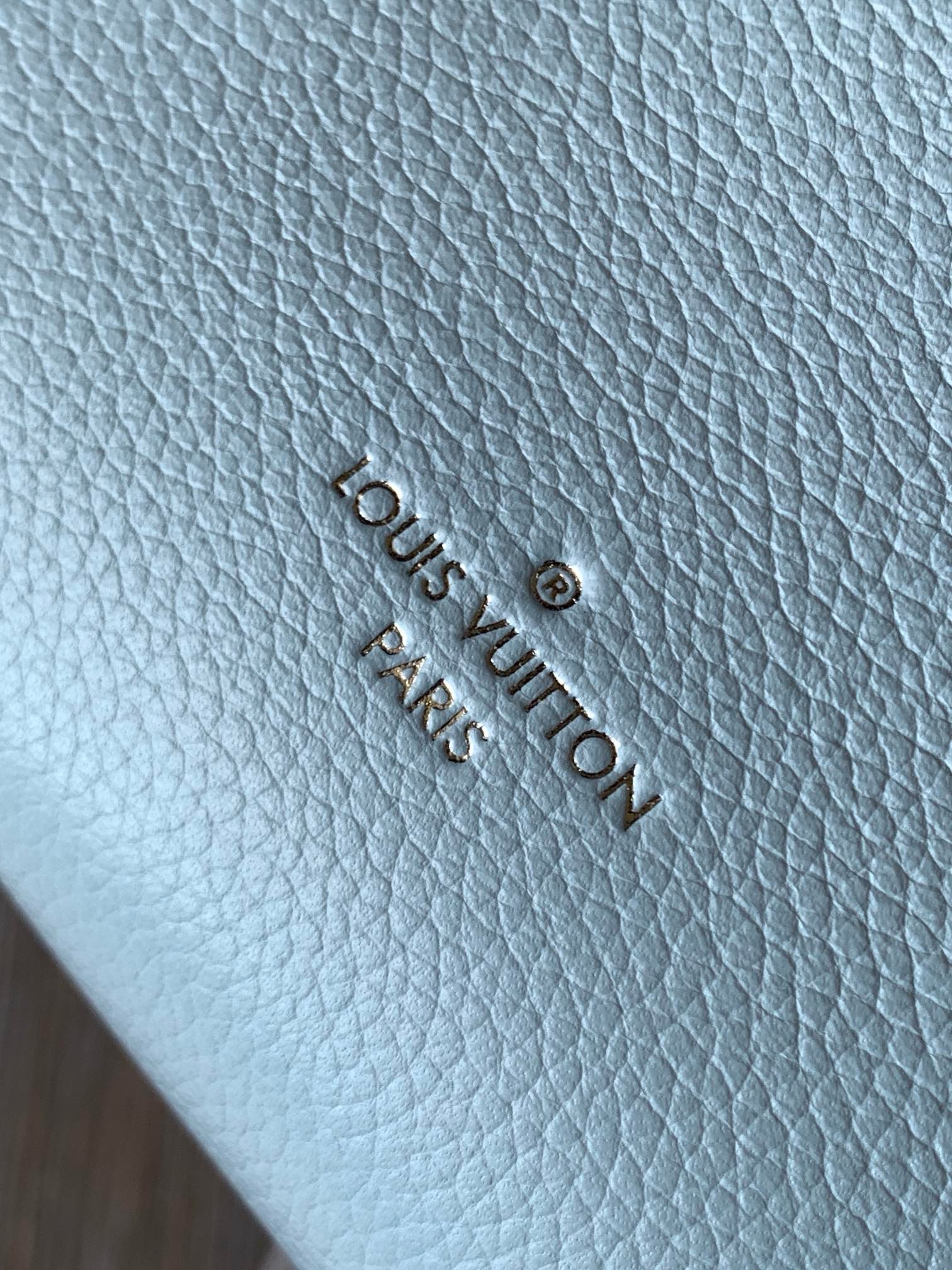 Louis Vuitton 2023 Olympe Blue Calfskin Leather Side Trunk PM w/ Strap – Oliver Jewellery