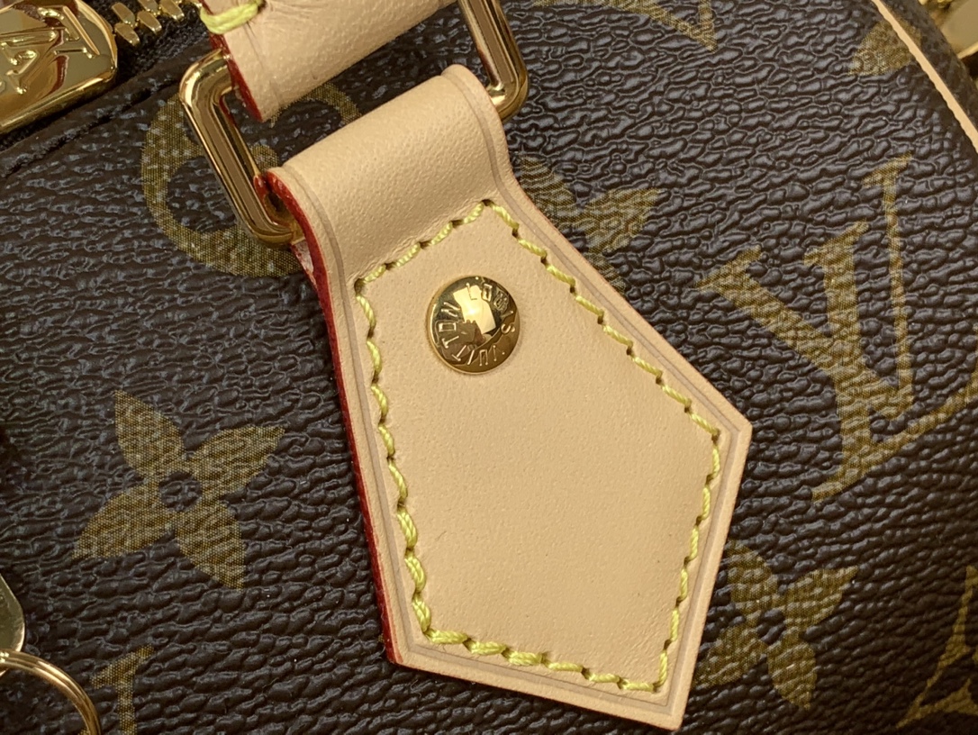 Louis Vuitton 2way Bag Speedy 20 Bandouliere Brown