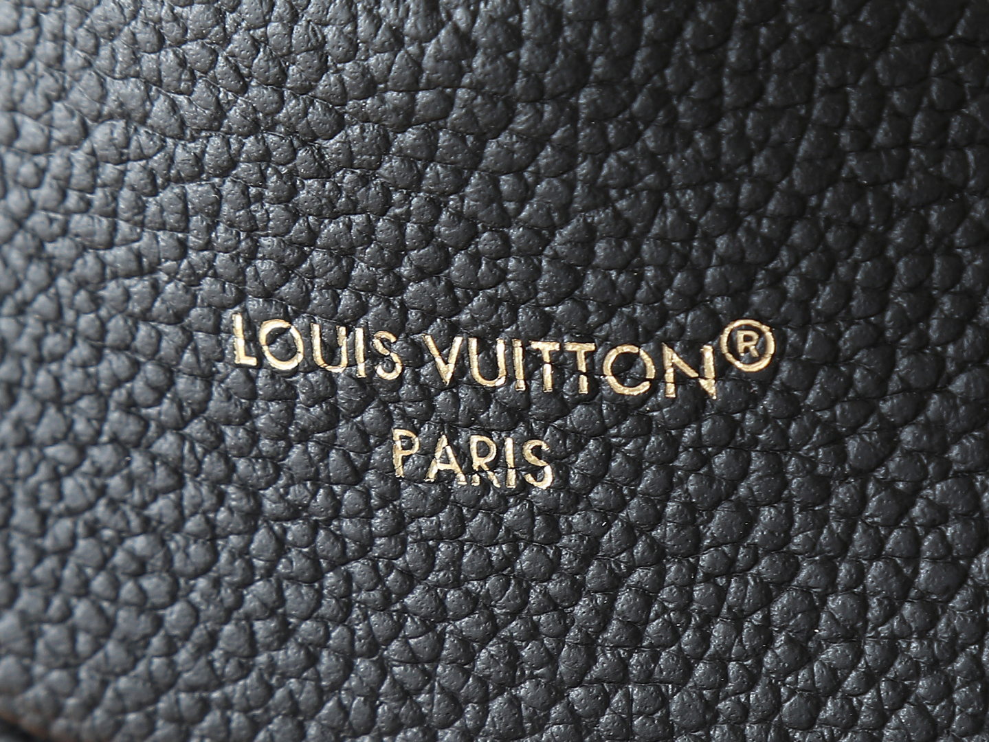 Louis Vuitton Anytime Flap Bag handbag