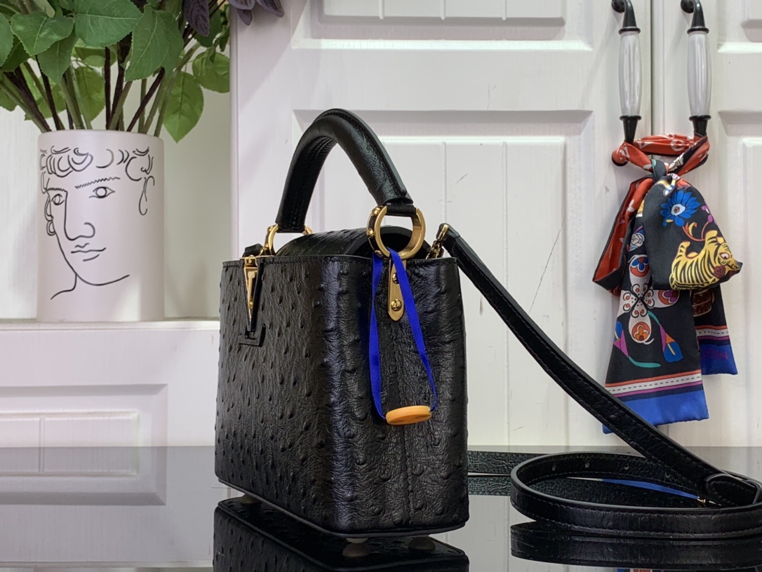 Louis Vuitton Black Ostrich Leather Capucines BB Bag