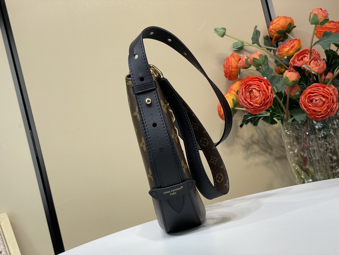 Louis Vuitton Brown Monogram BB Cookie Bag