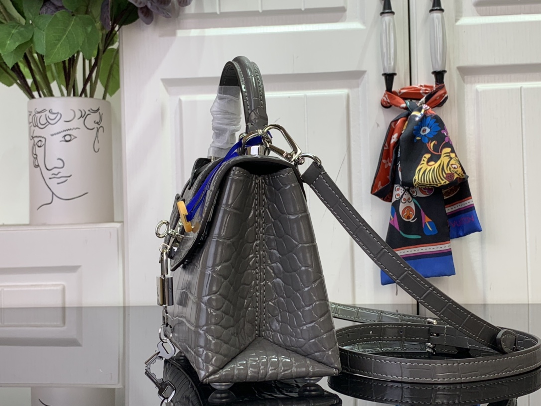 Louis Vuitton Crocodile Brilliant Mini Rose des Vents - Grey