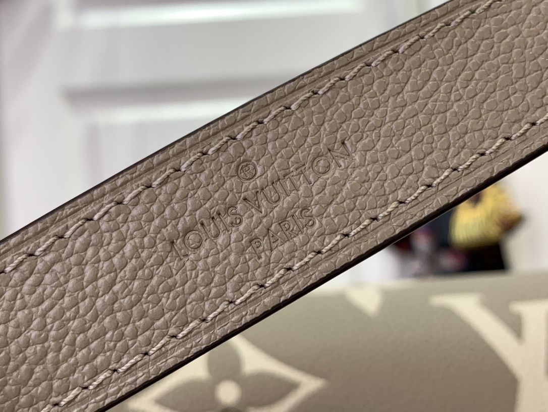 Louis Vuitton Diane Underarm Baguette Bag