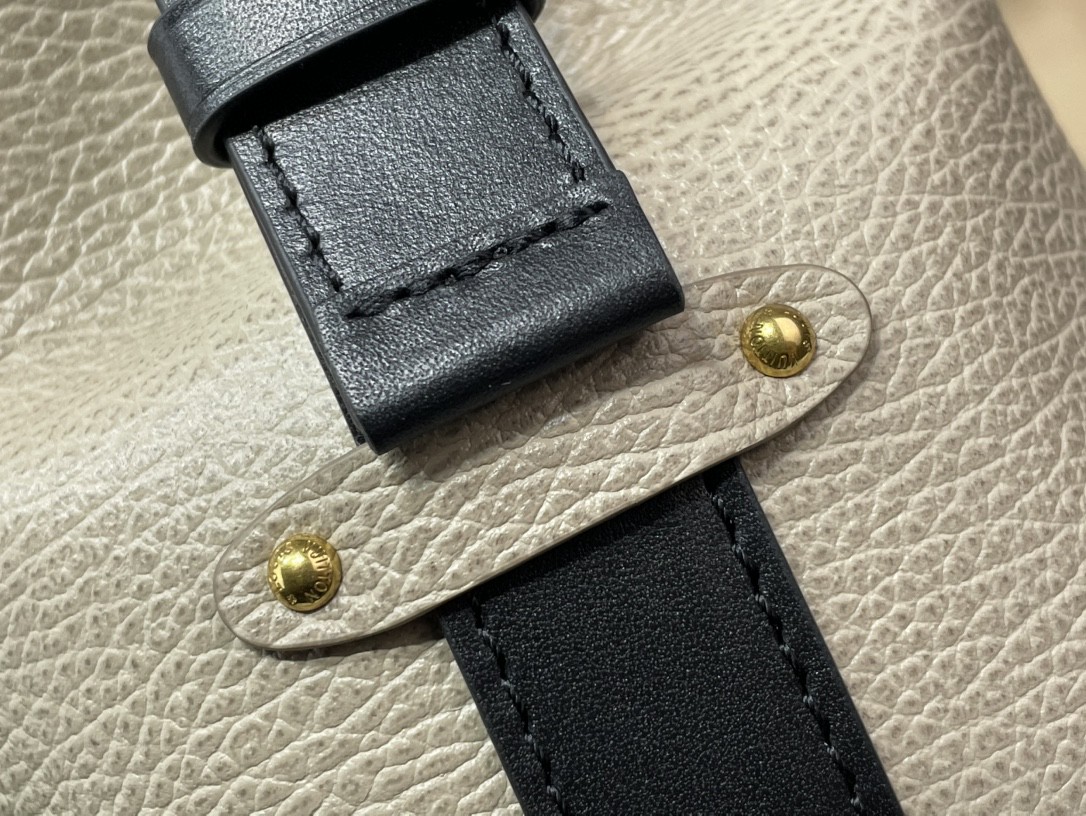 LOUIS VUITTON Leather LV Biker PM Top-Handle Bag