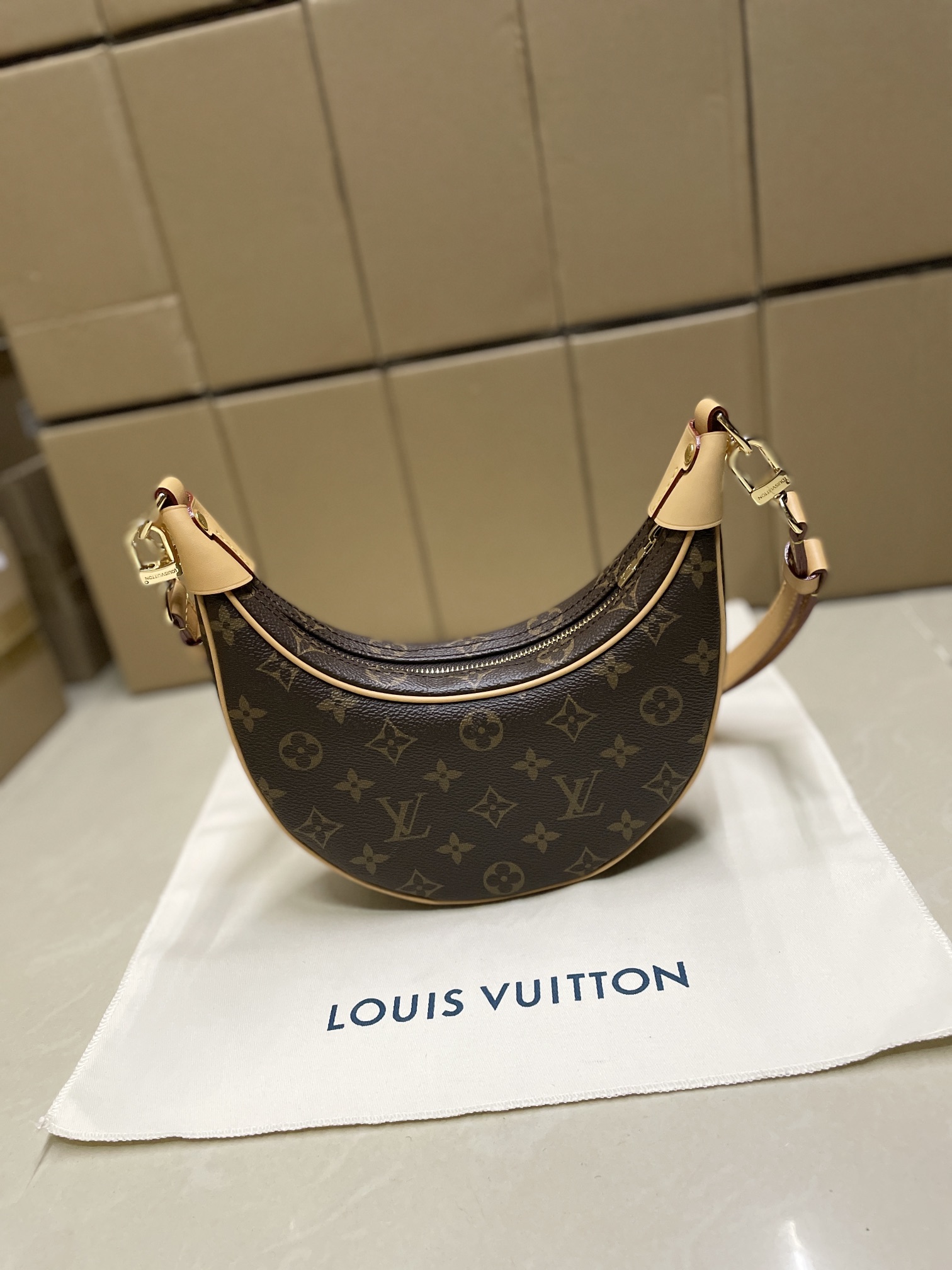 Louis Vuitton Loop Monogram Coated Canvas