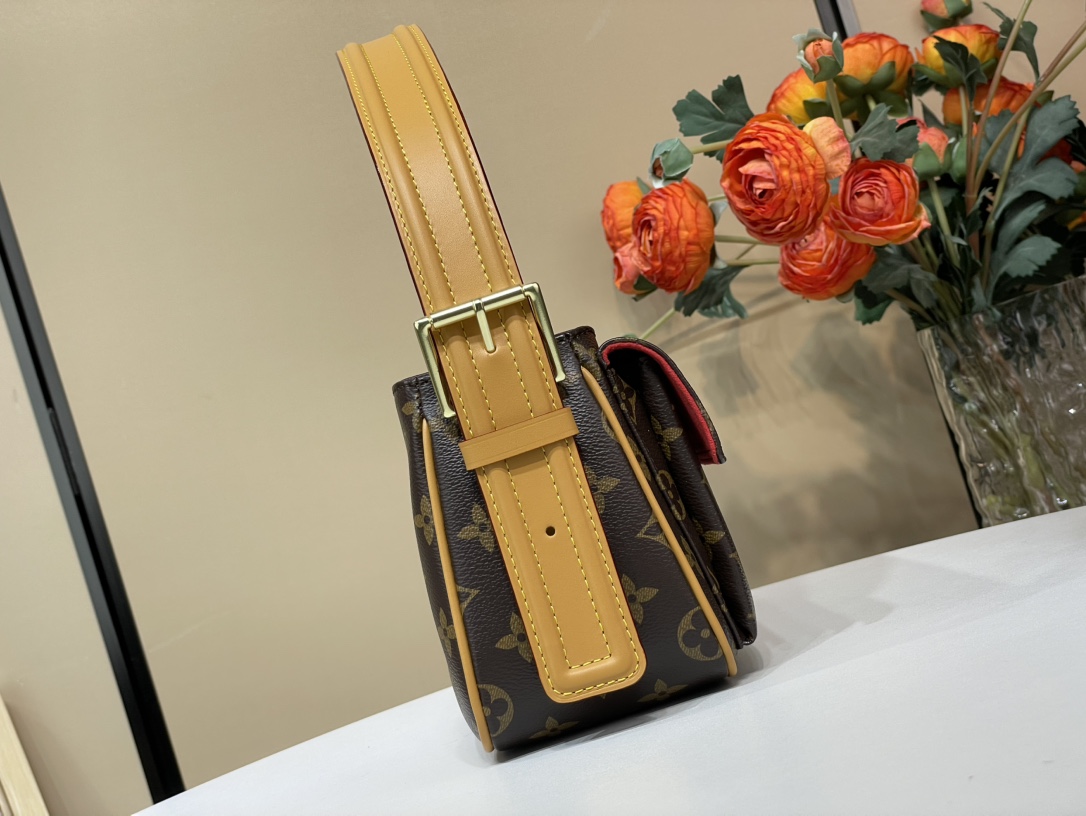 LOUIS VUITTON Louis Vuitton Monogram Vivacite MM