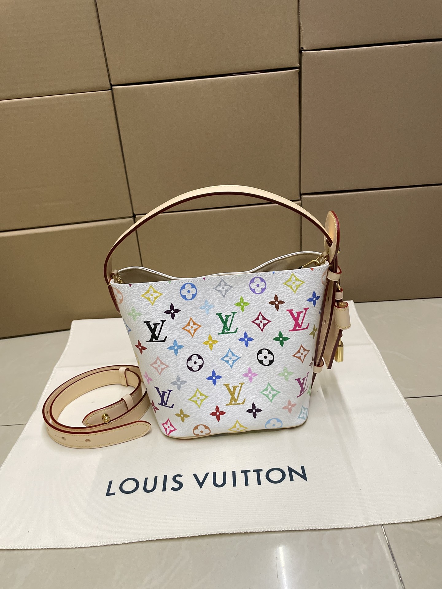 Louis Vuitton LV x TM All In BB Other Monogram Canvas - Women