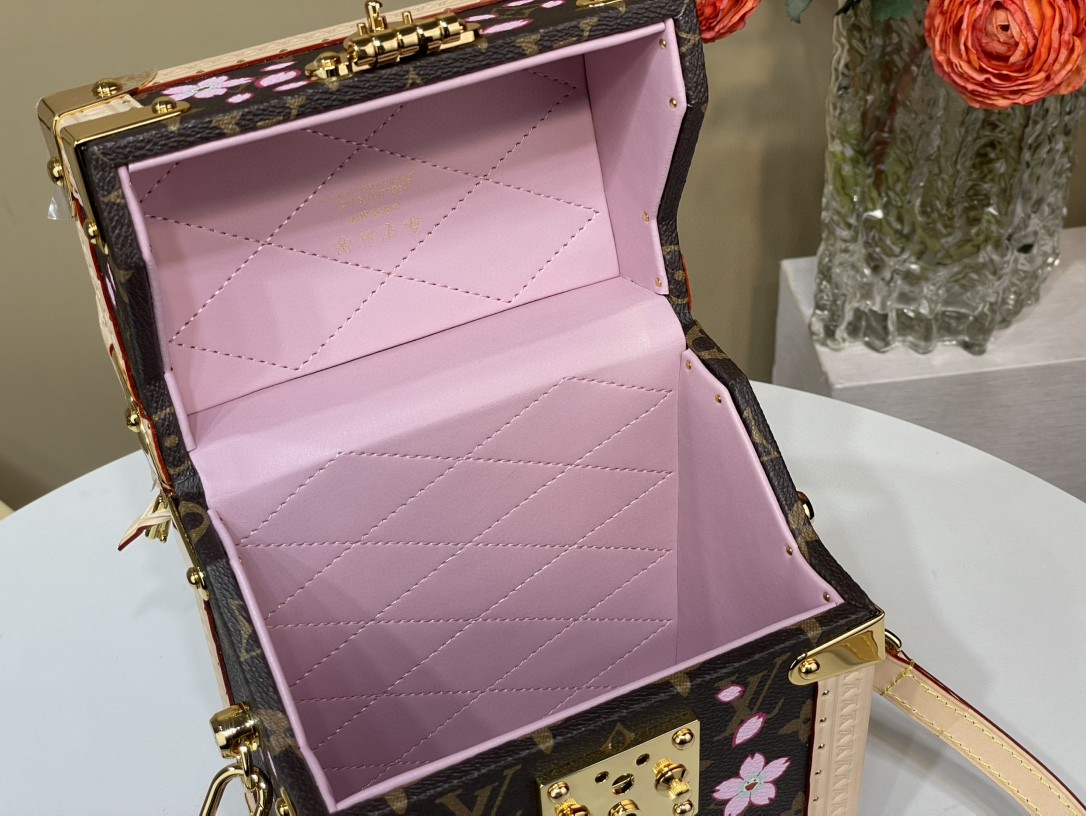 Louis Vuitton LV x TM Camera Box Other Monogram Canvas - Trunks and