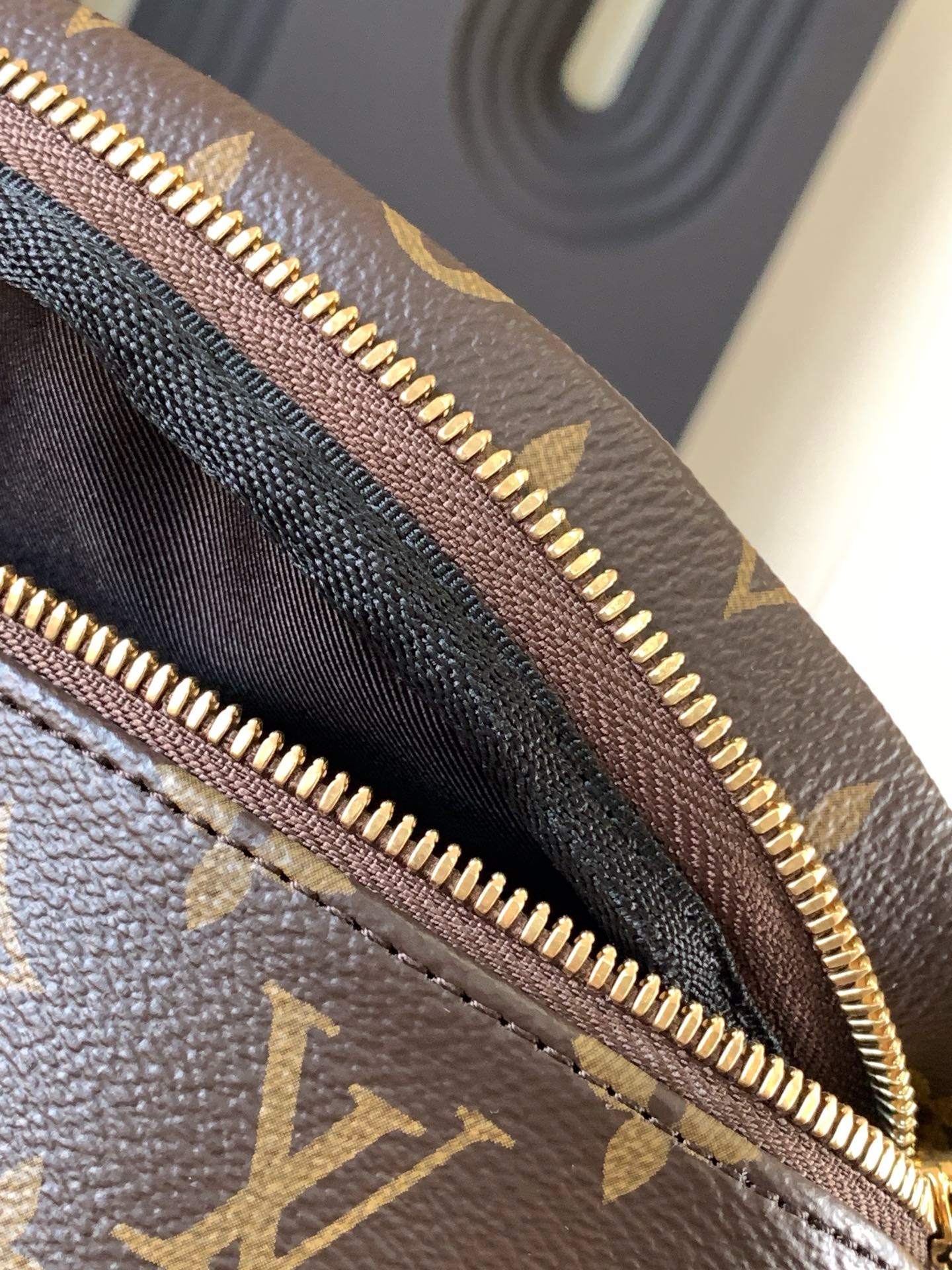 LOUIS VUITTON MONOGRAM CANVAS BUMBAG
