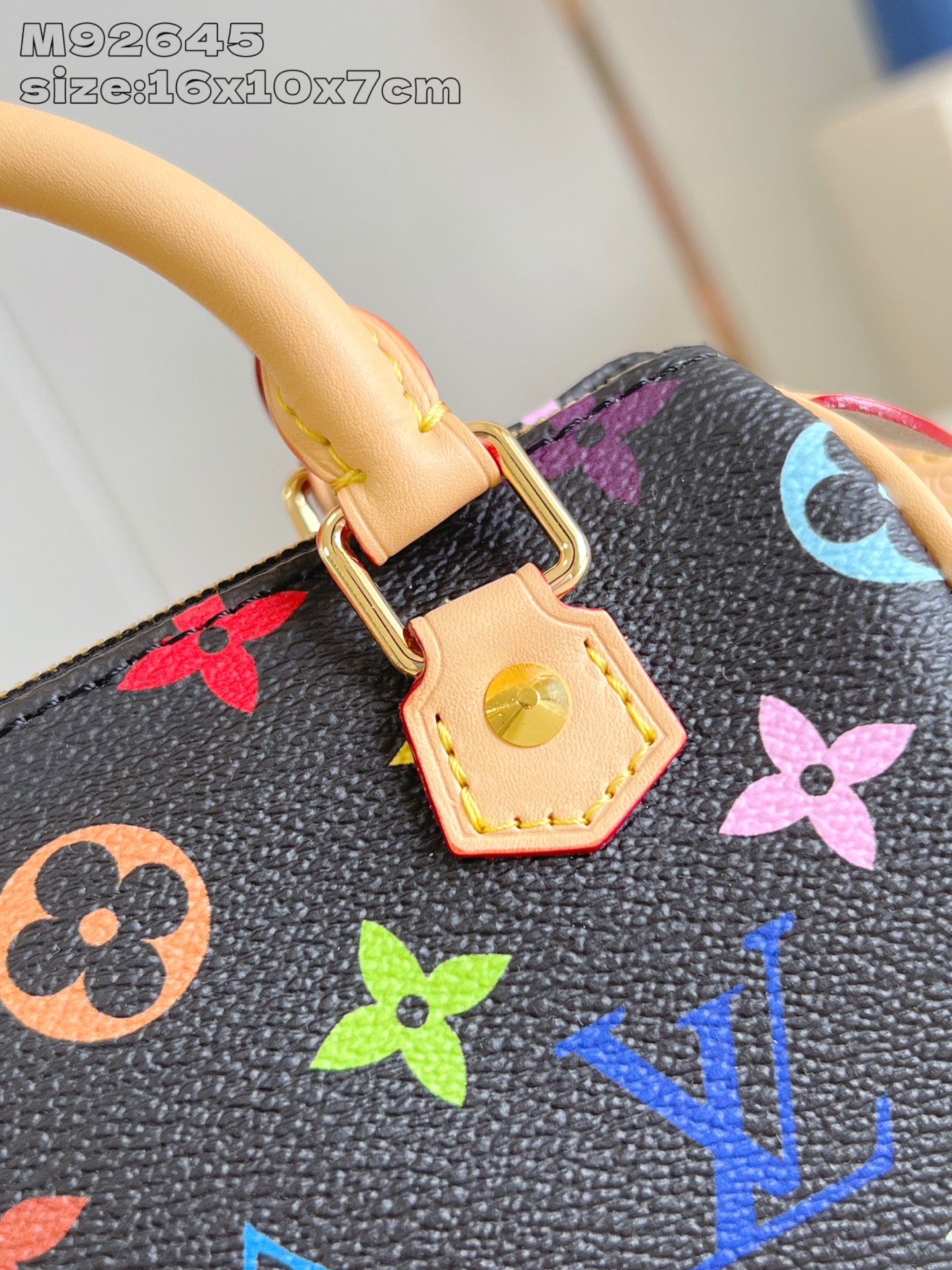 Louis Vuitton Monogram Multicolor Mano Speedy