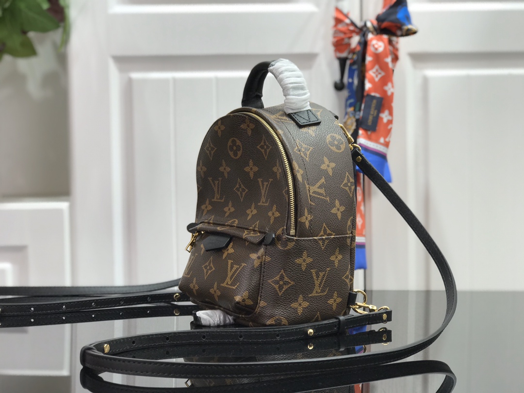 LOUIS VUITTON Monogram Palm Springs Mini Backpack