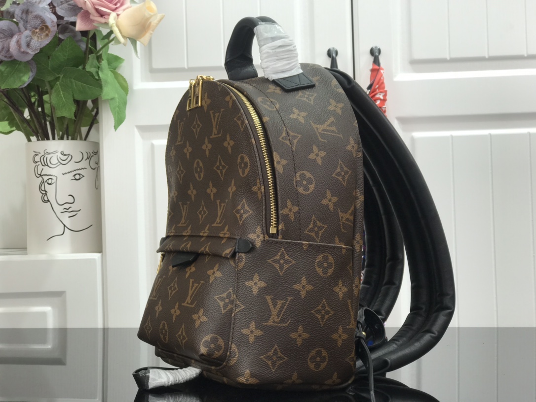 LOUIS VUITTON Monogram Palm Springs PM Backpack
