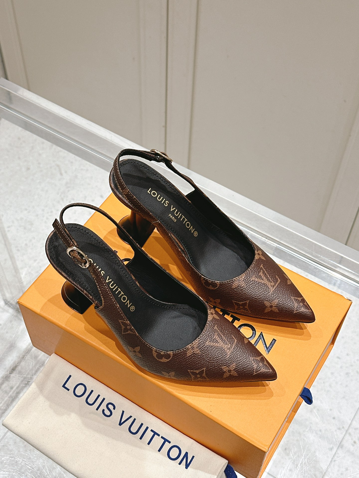 Louis Vuitton Monogram Slingback Pumps