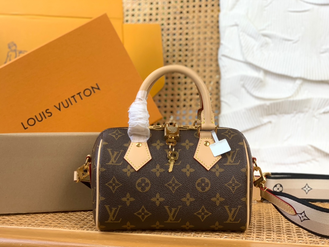 LV Monogram Speedy Nano - Iconic Mini Bag