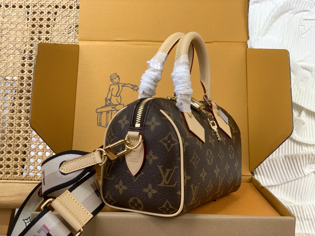 LOUIS VUITTON Monogram Speedy Bandoulier