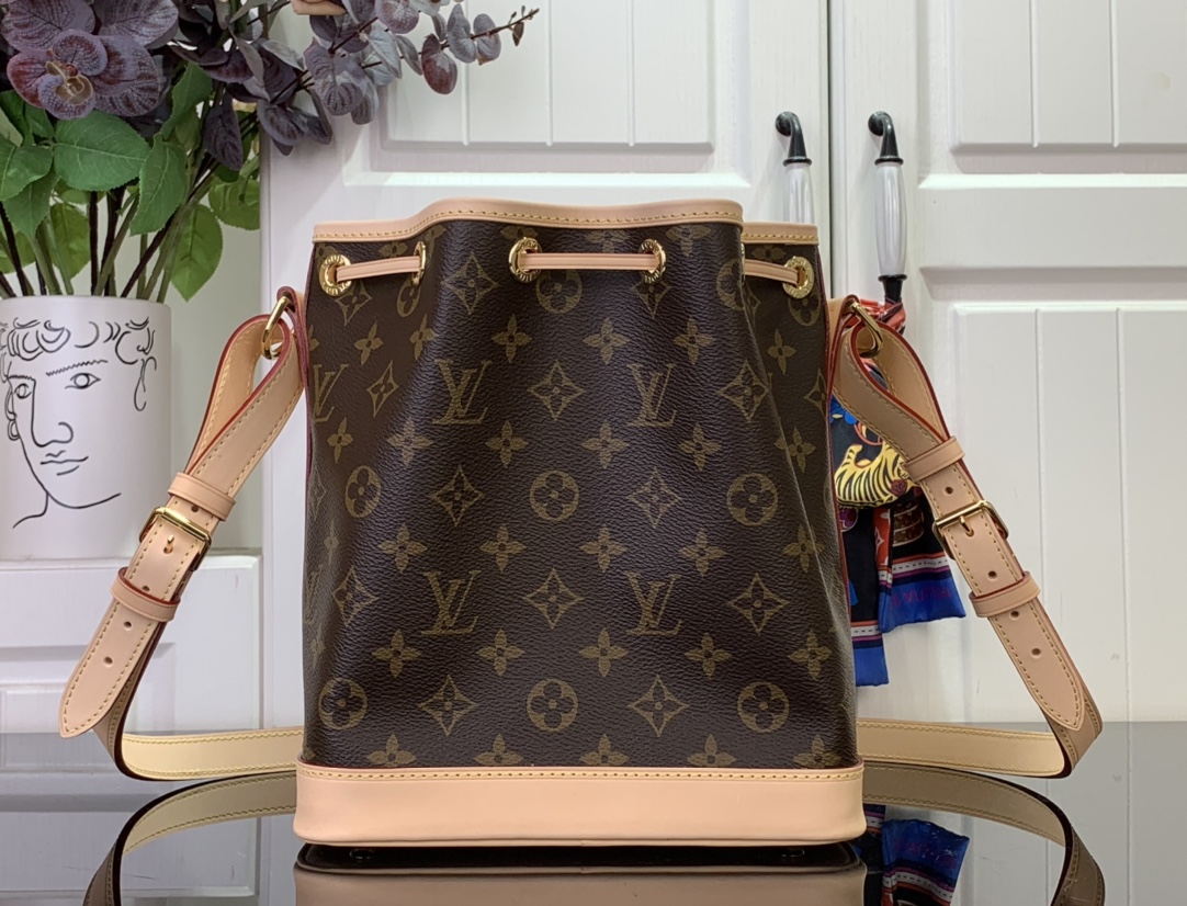 Louis Vuitton Nano Noé 'Brown'