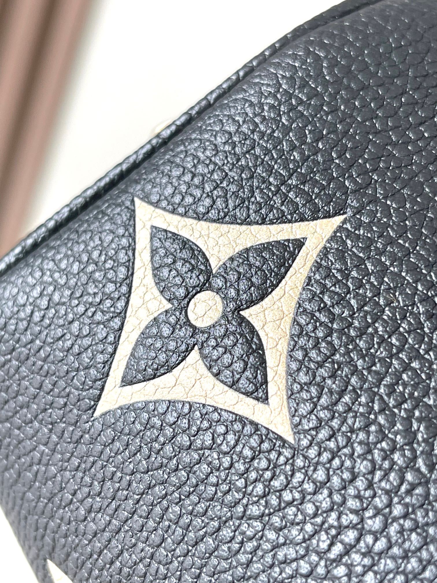 LOUIS VUITTON Nano Speedy Bicolor Hand crossbody bag