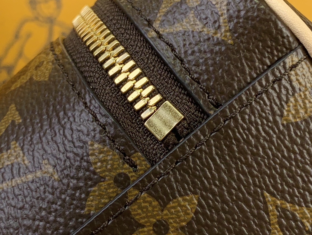 Louis Vuitton Nice Mini Monogram Canvas Bag Brown