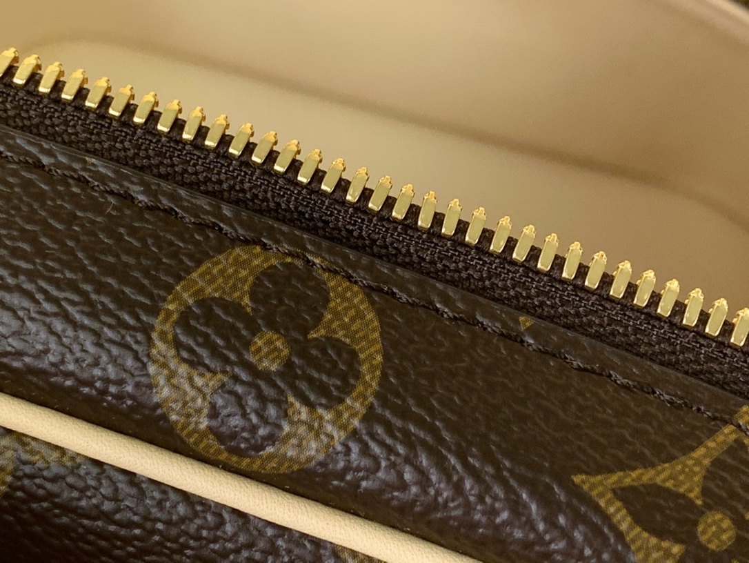 Louis Vuitton Nice Mini Monogram Canvas Bag Brown