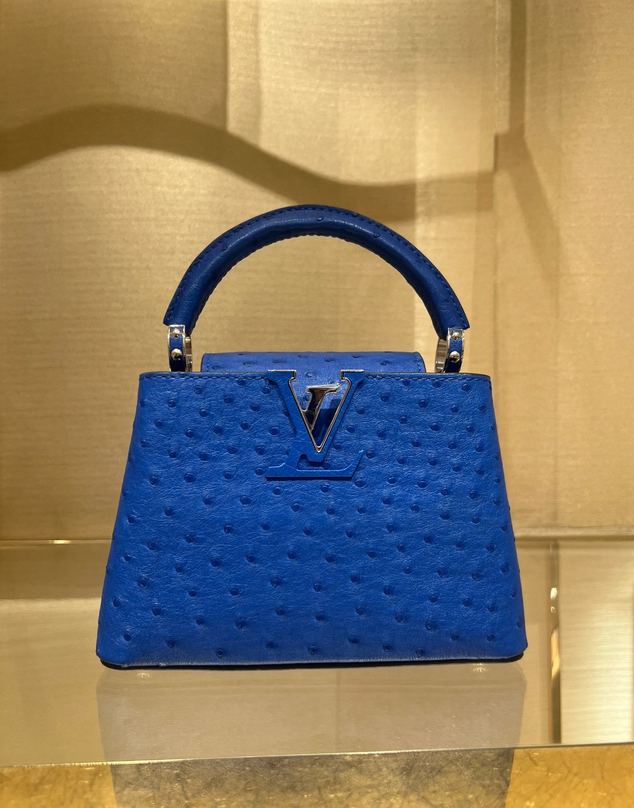 Louis Vuitton Ostrich Mini Capucines - Blue Handle Bags
