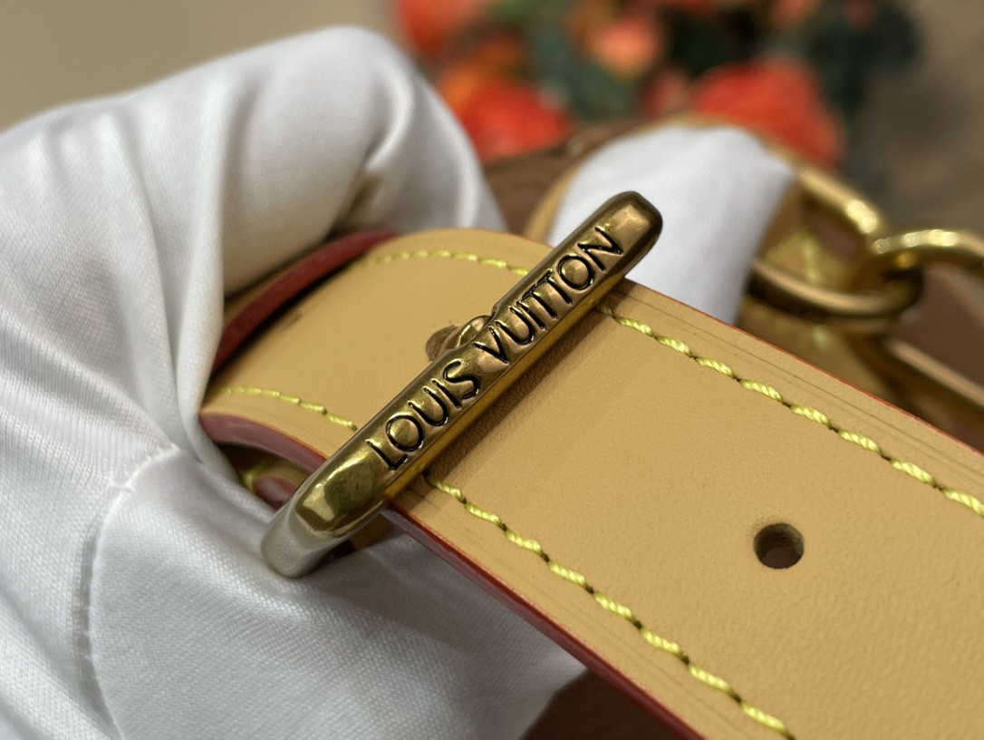 Louis Vuitton Pharrell x Nigo Speedy Bag 25 Brown in Canvas