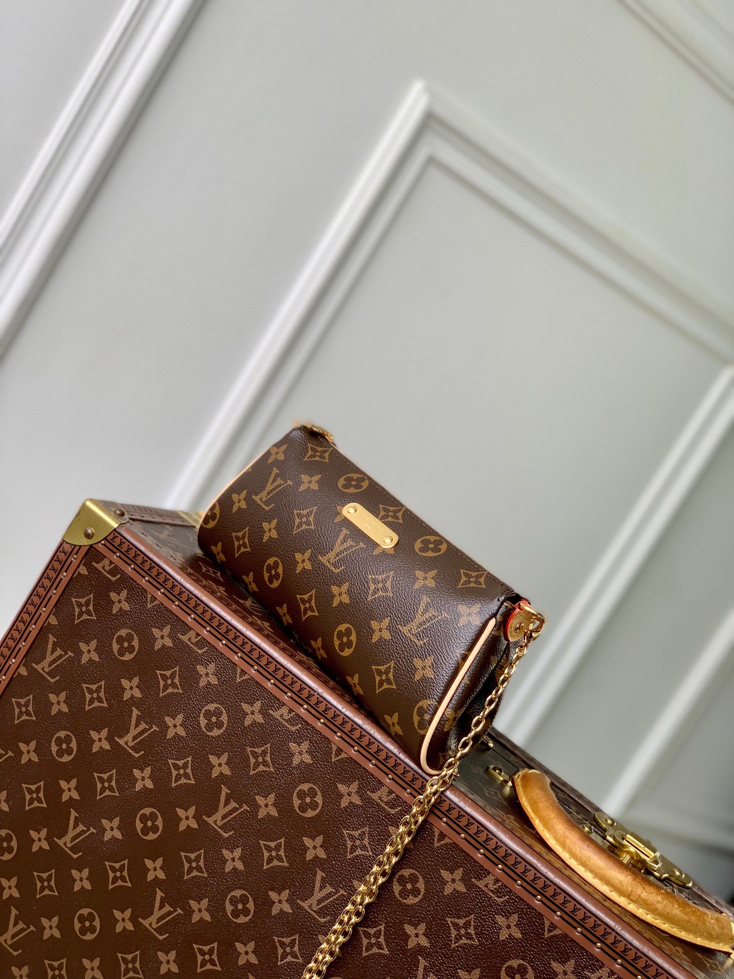 LOUIS VUITTON Pochette Eva Monogram Bag Brown