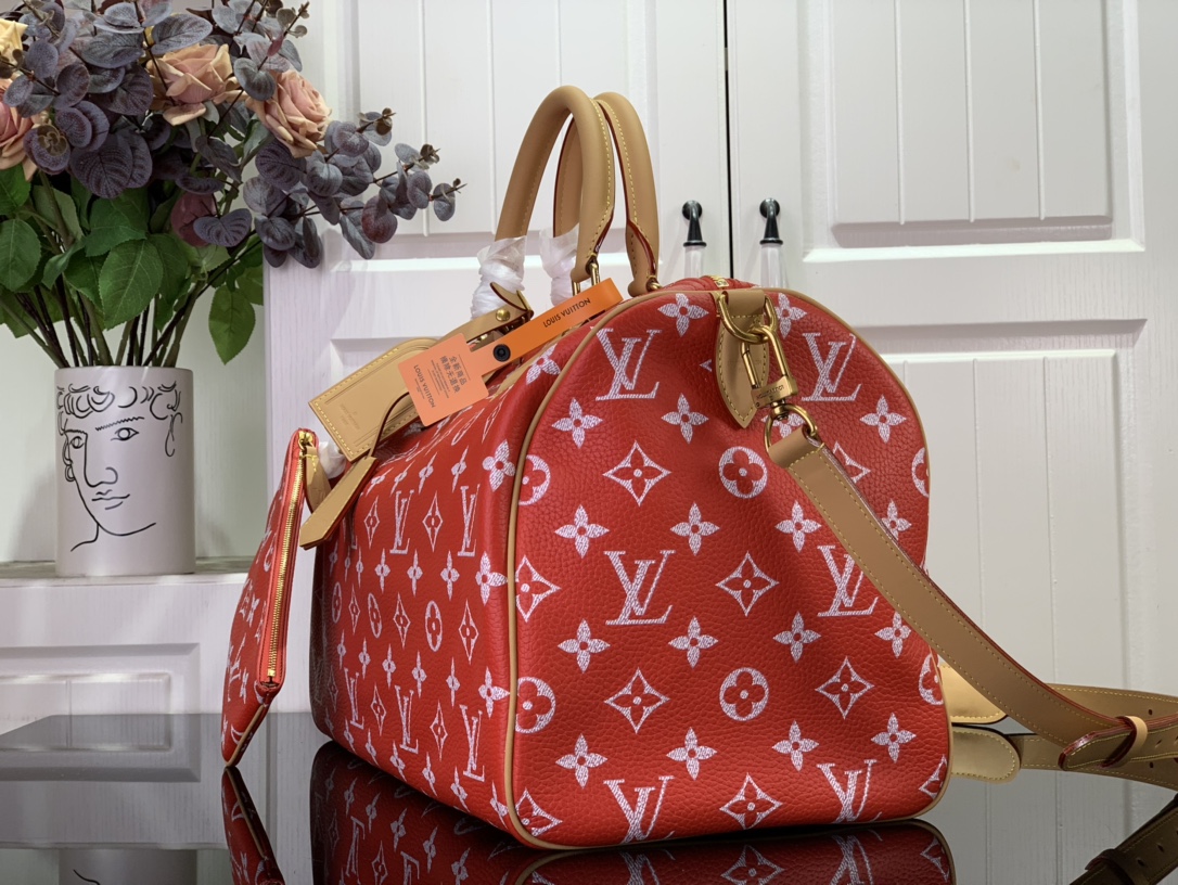 LOUIS VUITTON Soft Calfskin Monogram Speedy P9