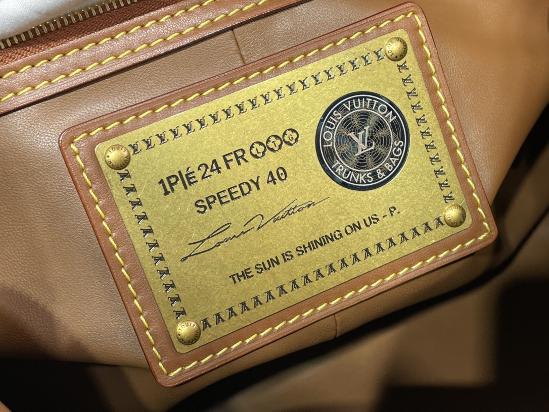 Louis Vuitton Speedy P9 Bandoulière 25 Autres Cuirs Monogram