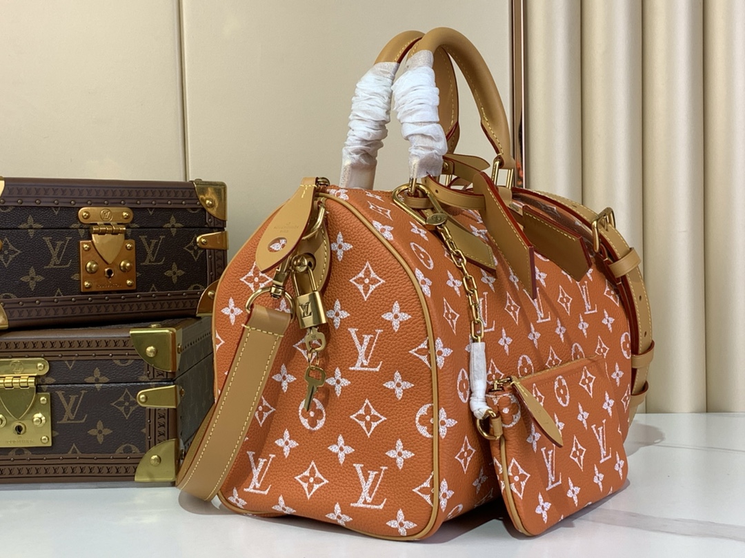 Louis Vuitton Speedy P9 Bandoulière 25 Autres Cuirs Monogram