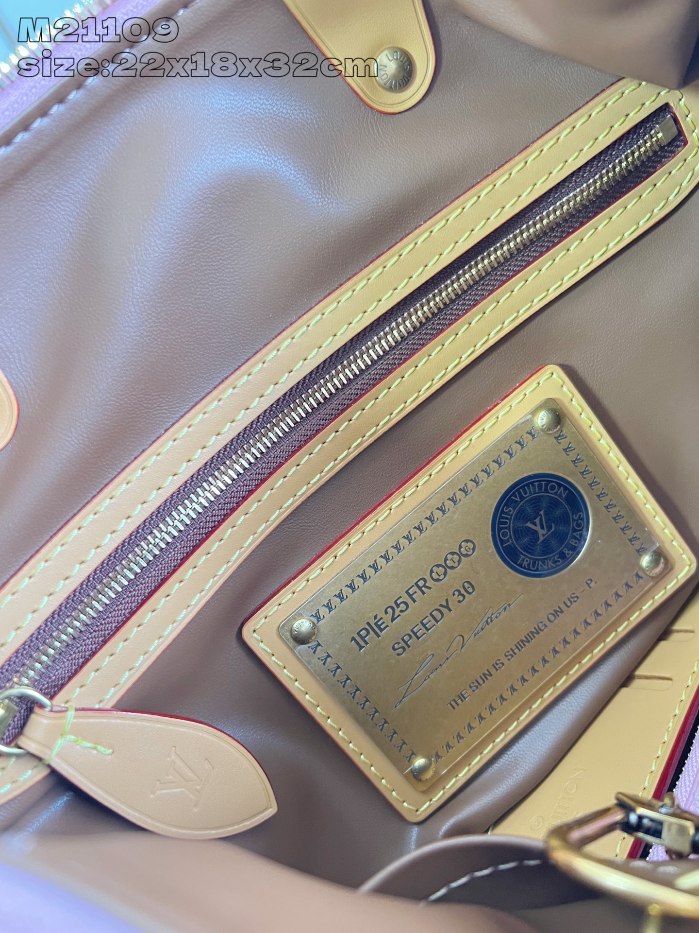 Louis Vuitton Speedy P9 Bandoulière 30 Autres Cuirs Monogram