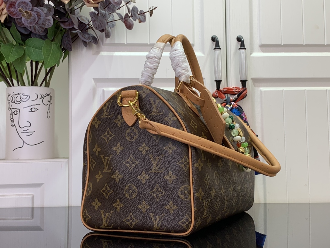 Louis vuitton Speedy Soft 30 Boho