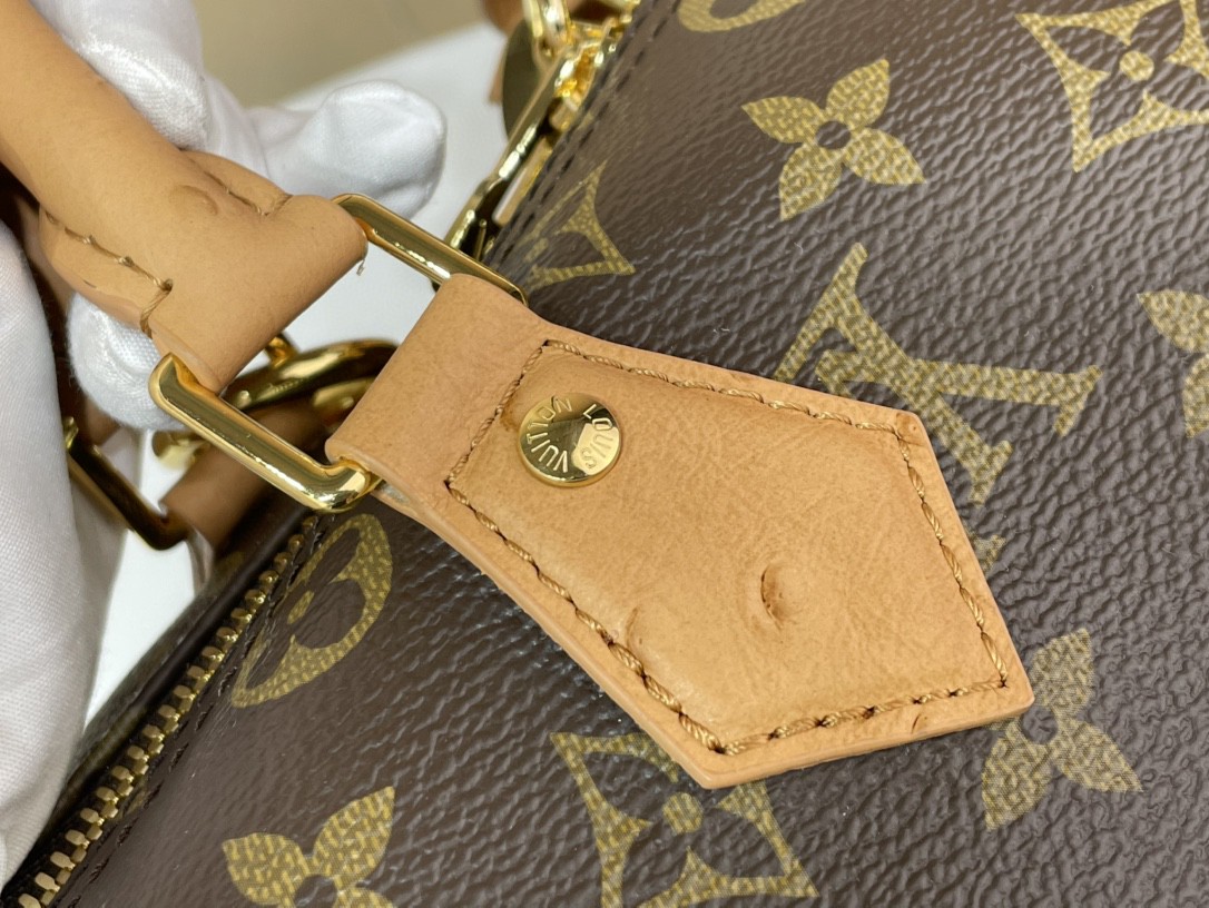 Louis Vuitton Speedy Soft 30 Boho Handbag Brown