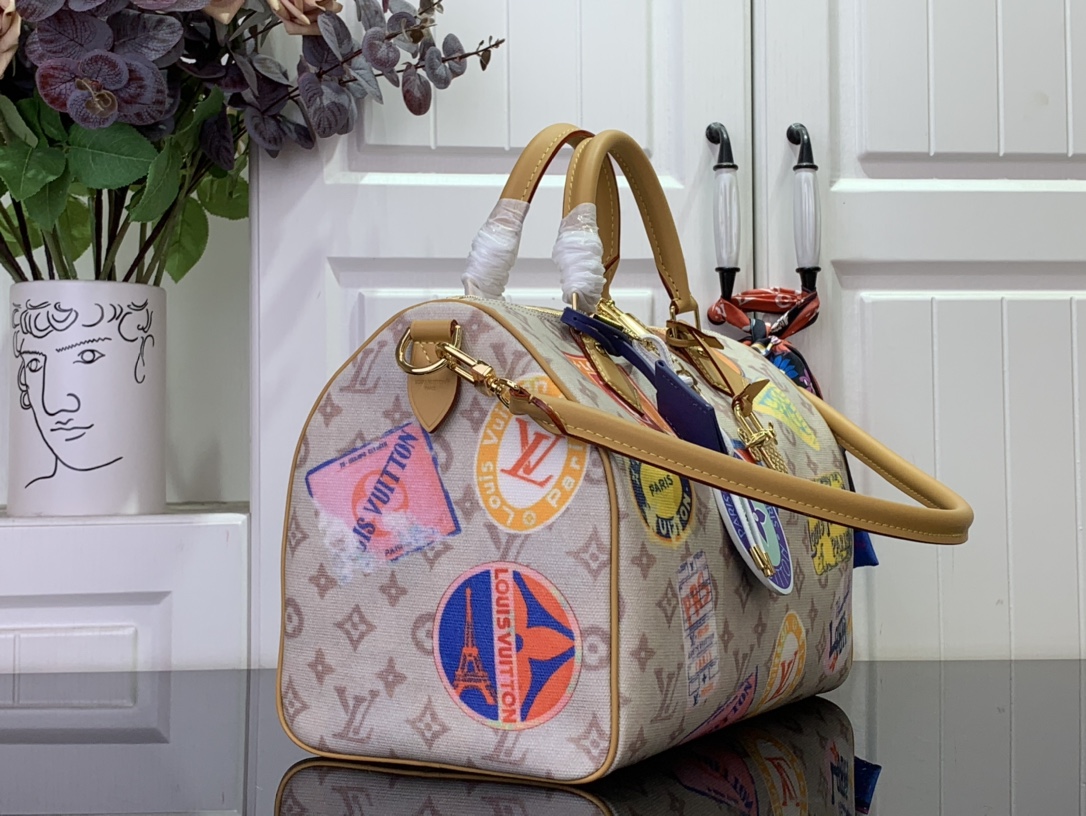 Louis Vuitton Speedy Soft 30 - BRAND NEW 2025