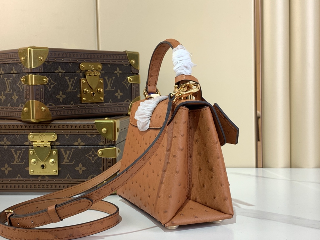 Louis Vuitton Women’s Handbag – 19cm, Multicolor Ostrich Pattern, Elegant and Chic