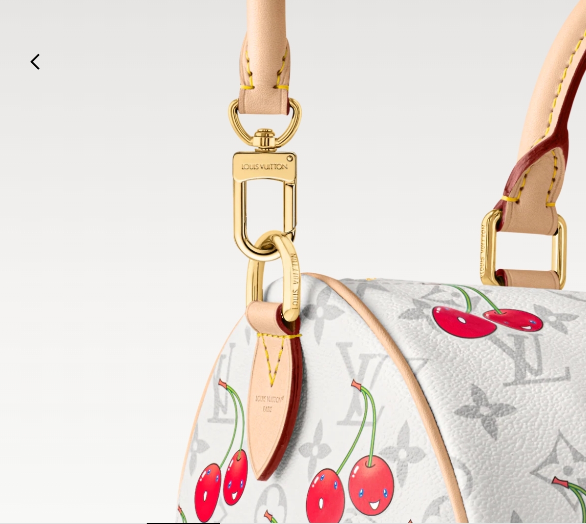 Louis Vuitton x Takashi Murakami Cherry Speedy Soft