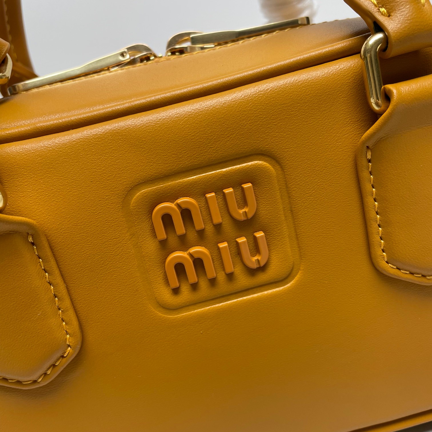 Miu Miu Arcadie Mini Bag | Brown