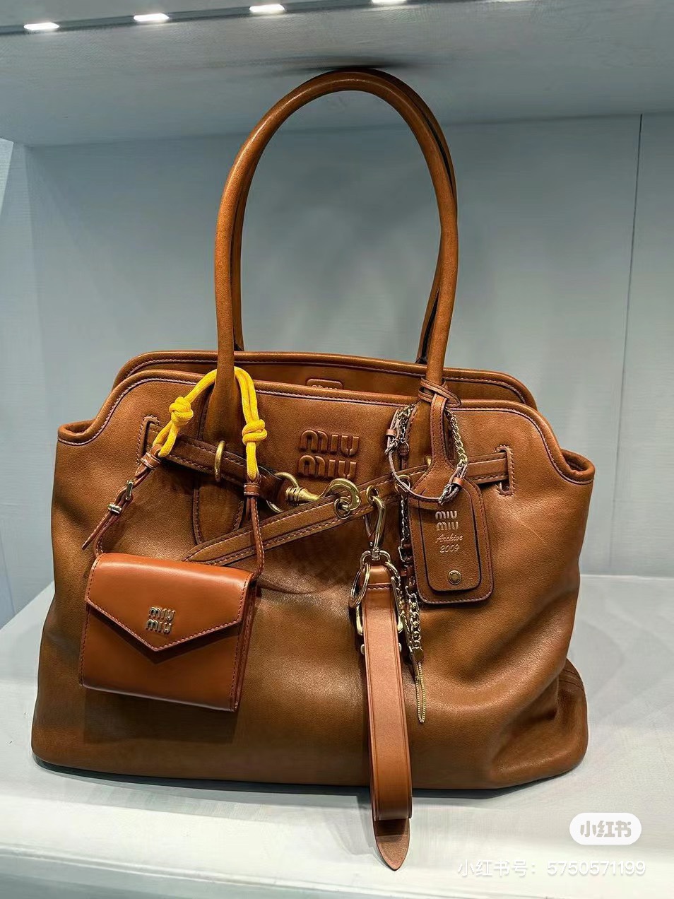 Miu Miu Aventure Nappa Leather Bag | Brown  Miu Miu 00879