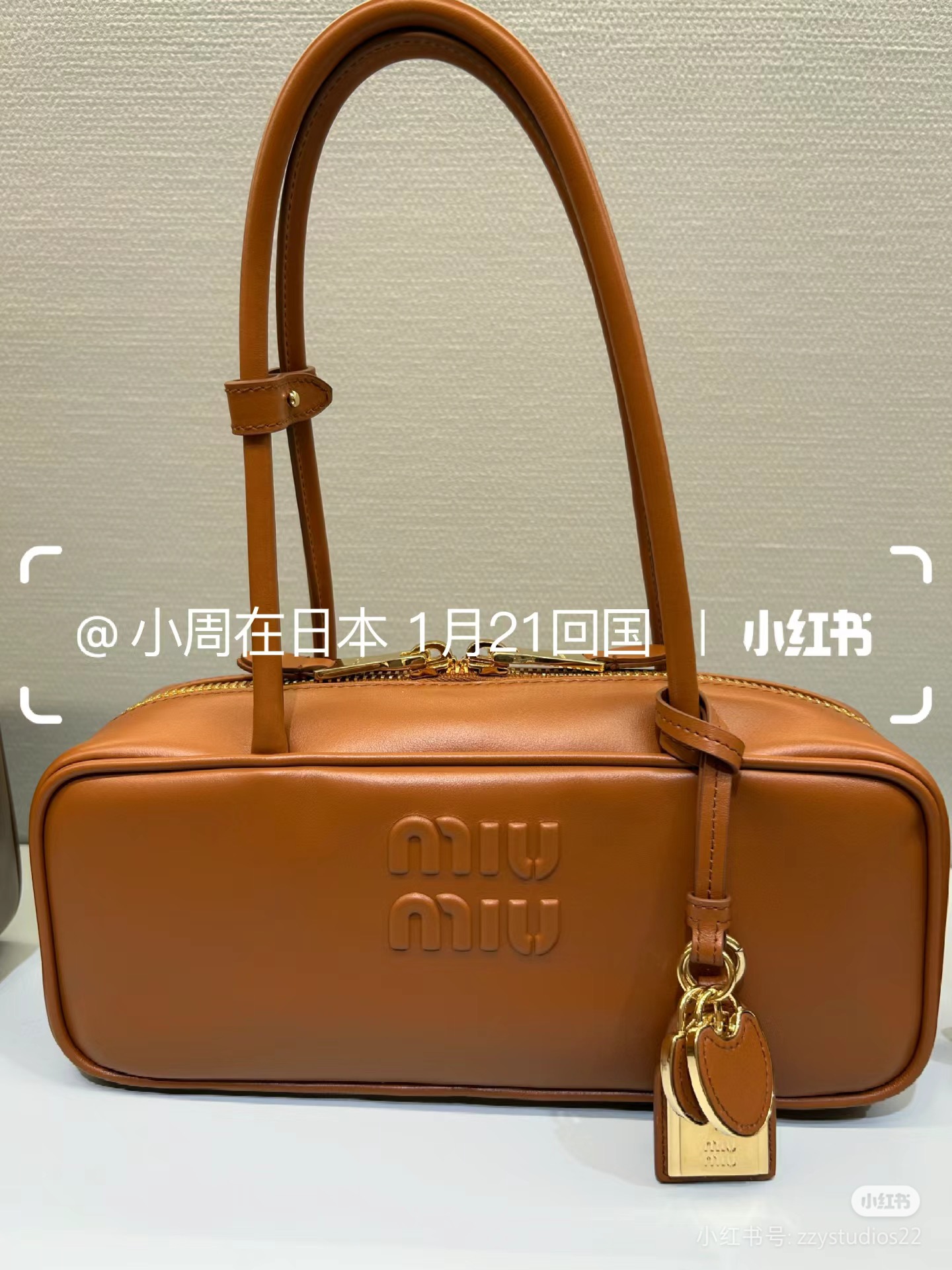 Miu Miu Beau Leather Bag | Brown Miu Miu 01149