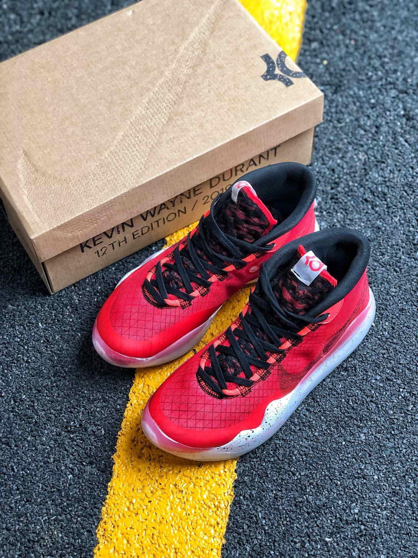 kd 12 red university