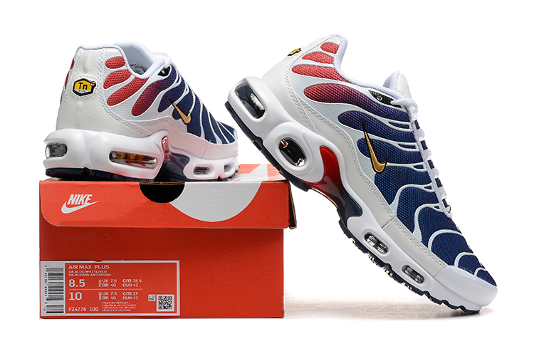 Nike Paris Saint-Germain x Air Max Plus Home Kit