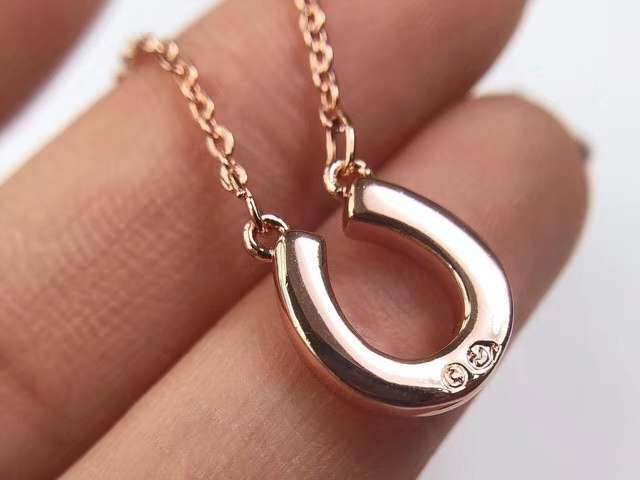 Swarovski Rose Gold-Tone Pavé Crystal Horseshoe Pendant Necklace