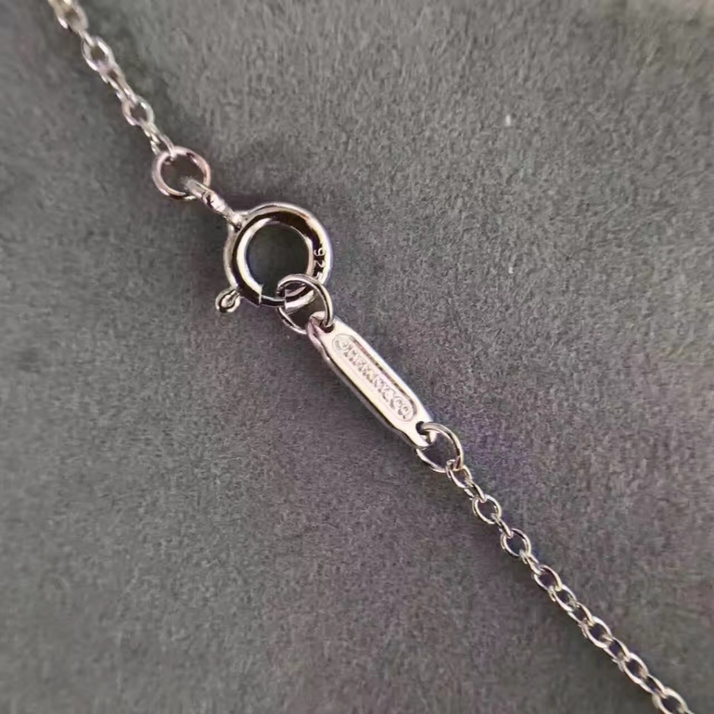 Tiffany Silver Interlocking Circle Necklace – Tiffany & Co. Silver