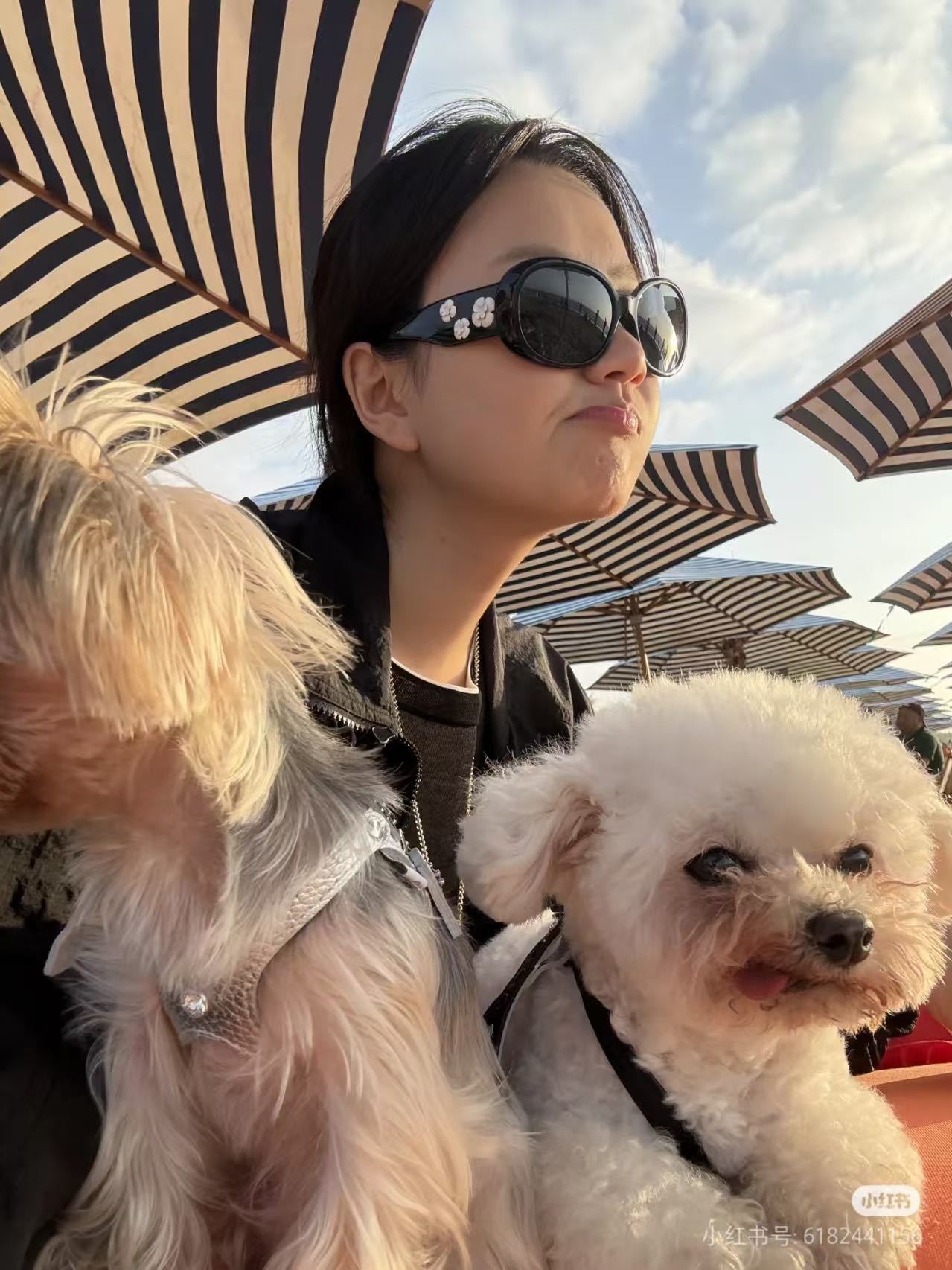 Vintage Camellia Flower Logo Sunglasses – Elegant Black Oval Frames