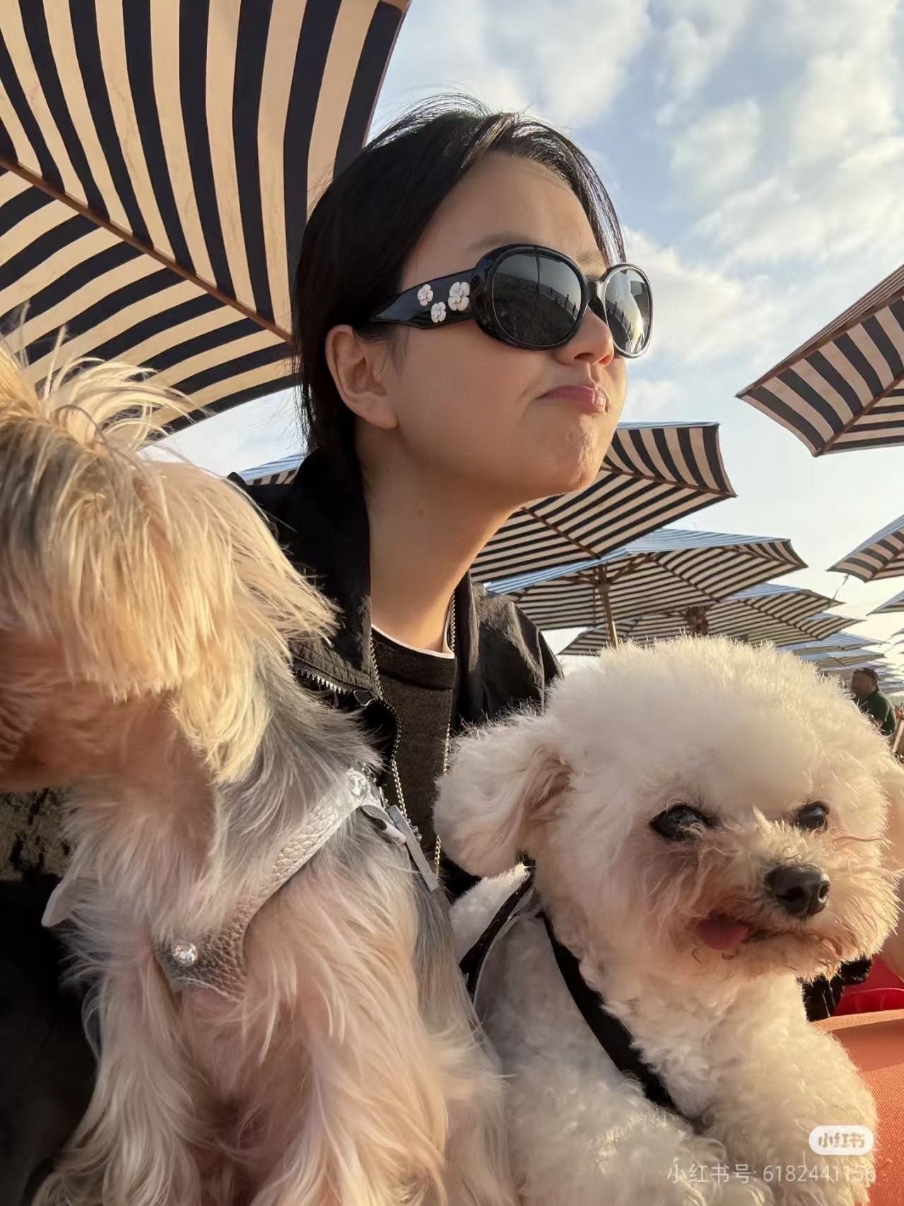 Vintage Luxury Oval Sunglasses with White Camellia Floral Detail