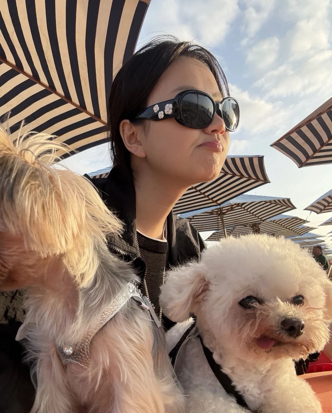 oval Chanel Floral Black Sunglasses – Chanel Oval Black Sunglasses