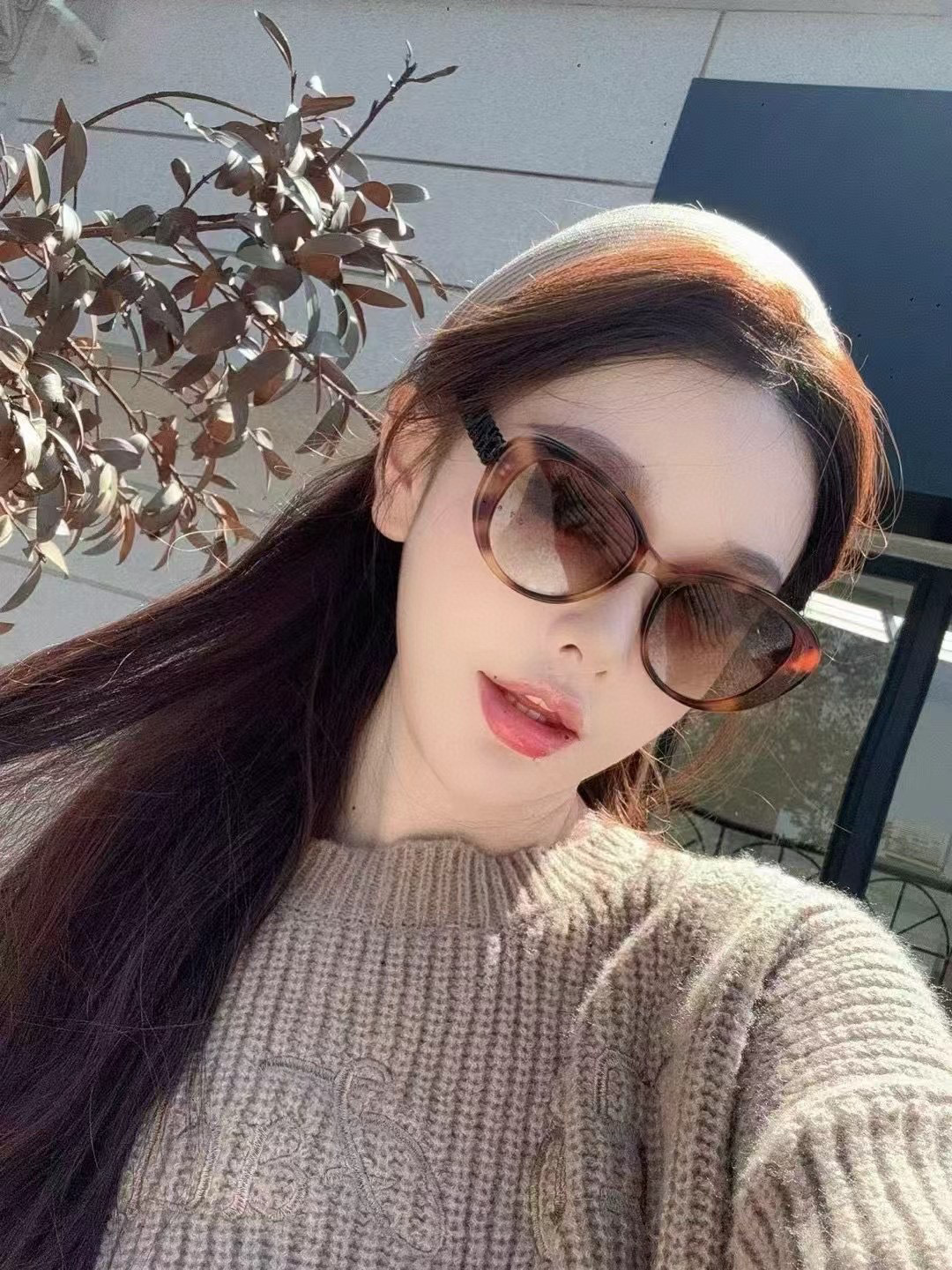 Luxury Women’s Cat-Eye Sunglasses with Designer Letter Temples