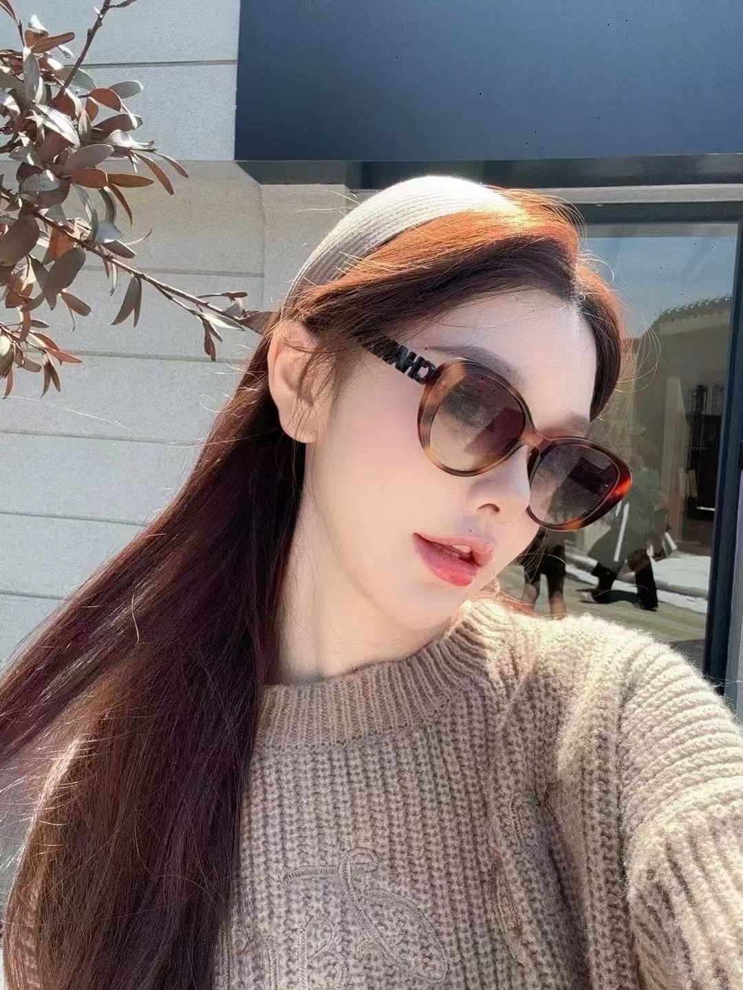 Luxury Women’s Cat-Eye Sunglasses with Designer Letter Temples